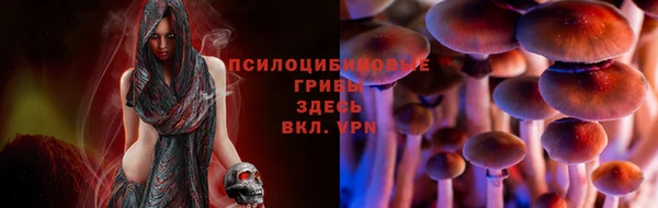 не бодяженный Пересвет