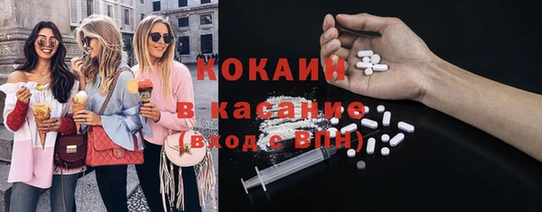 ПСИЛОЦИБИНОВЫЕ ГРИБЫ Абаза