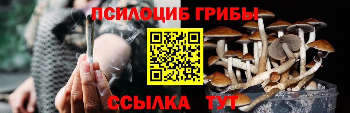 Псилоцибиновые грибы Psilocybe  Галлюциногенные грибы MAGIC MUSHROOMS  Кудымкар  Вход с VPN 